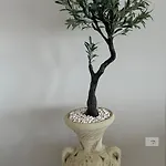 Rooftop Апартаменты *